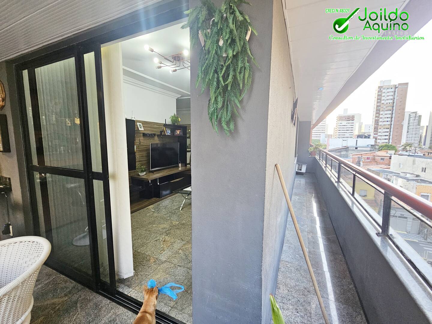 Apartamento à venda com 3 quartos, 145m² - Foto 4